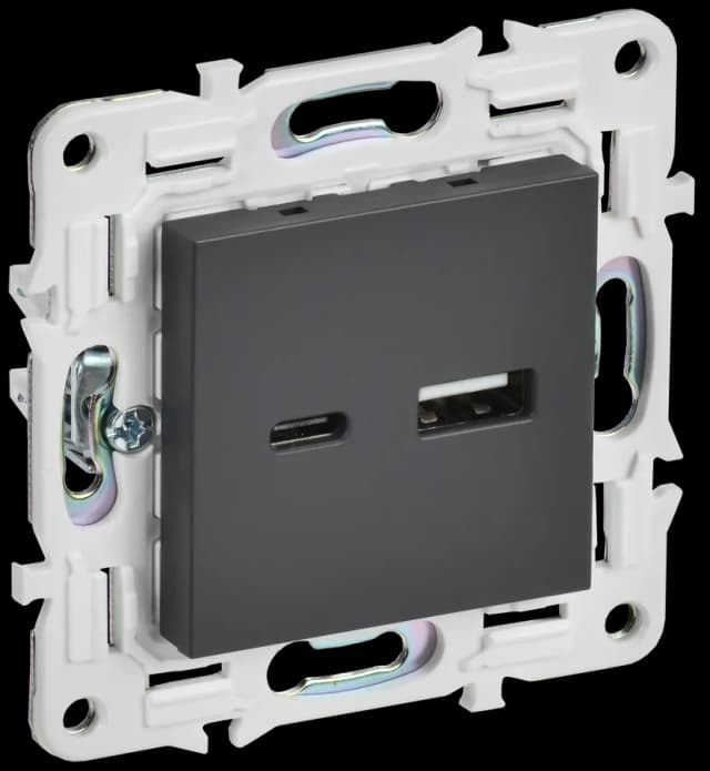 Розетка USB IEK SKANDY SK-U22-D31-K48 (титан)