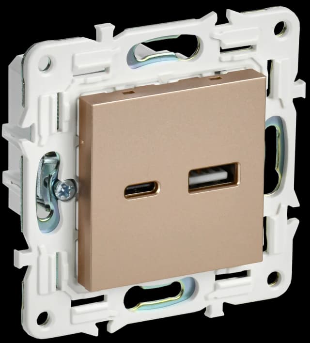 Розетка USB IEK SKANDY SK-U22-D31-K98 (песочный)