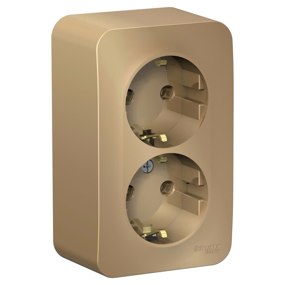 Розетка двойная с заземлением Systeme Electric Blanca BLNRA010214, цвет титан, два евроразъема с заземлением.