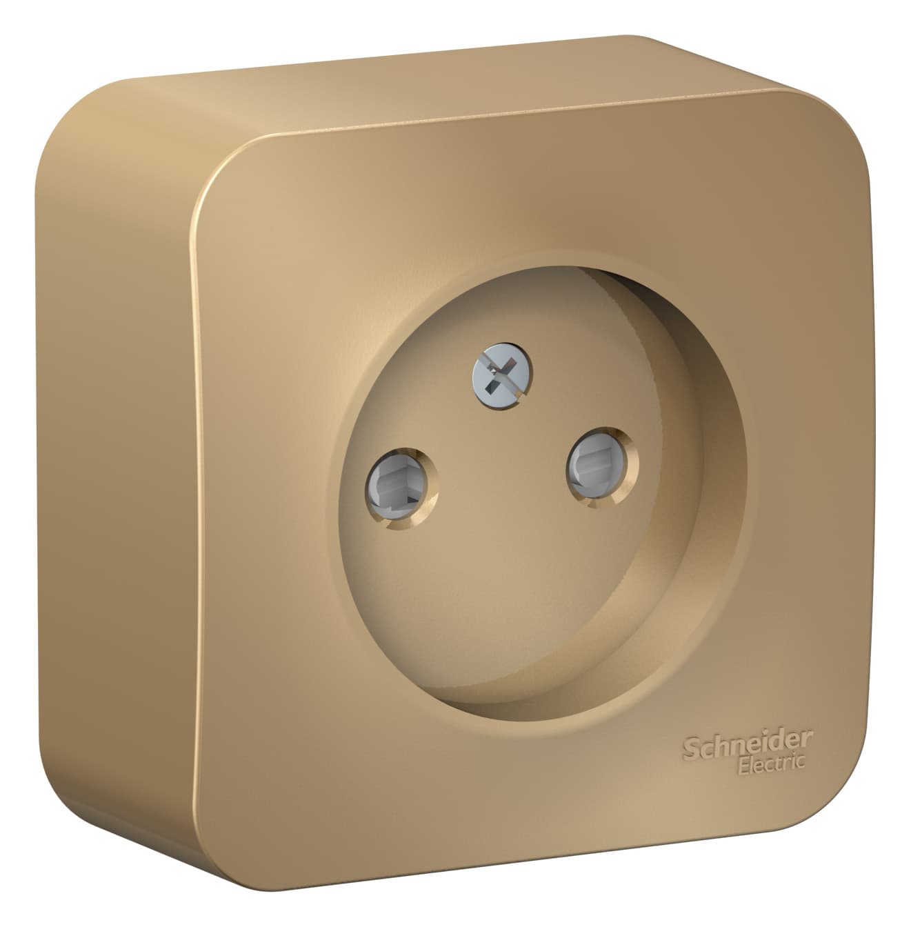 Розетка без заземления с защитными шторками Systeme Electric Blanca BLNRA001114, цвет титан, защита от детей.