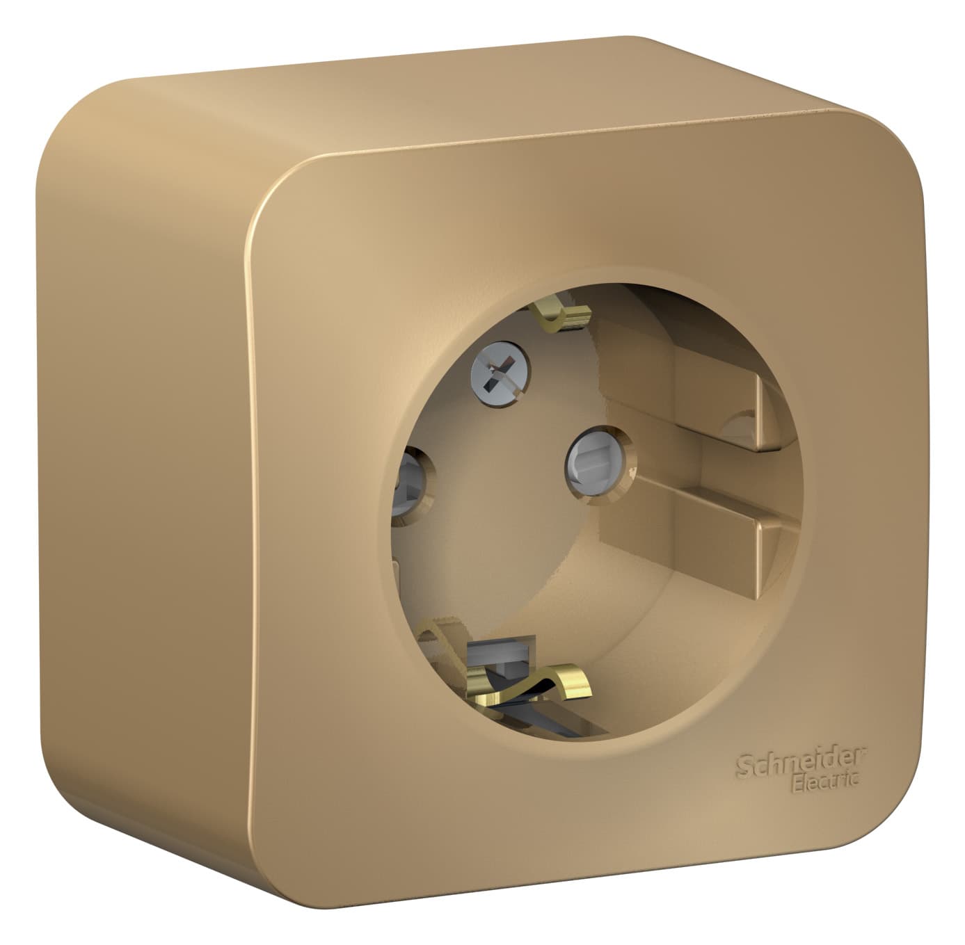 Розетка с заземлением и защитными шторками Systeme Electric Blanca BLNRA011114, цвет титан, защита от детей.