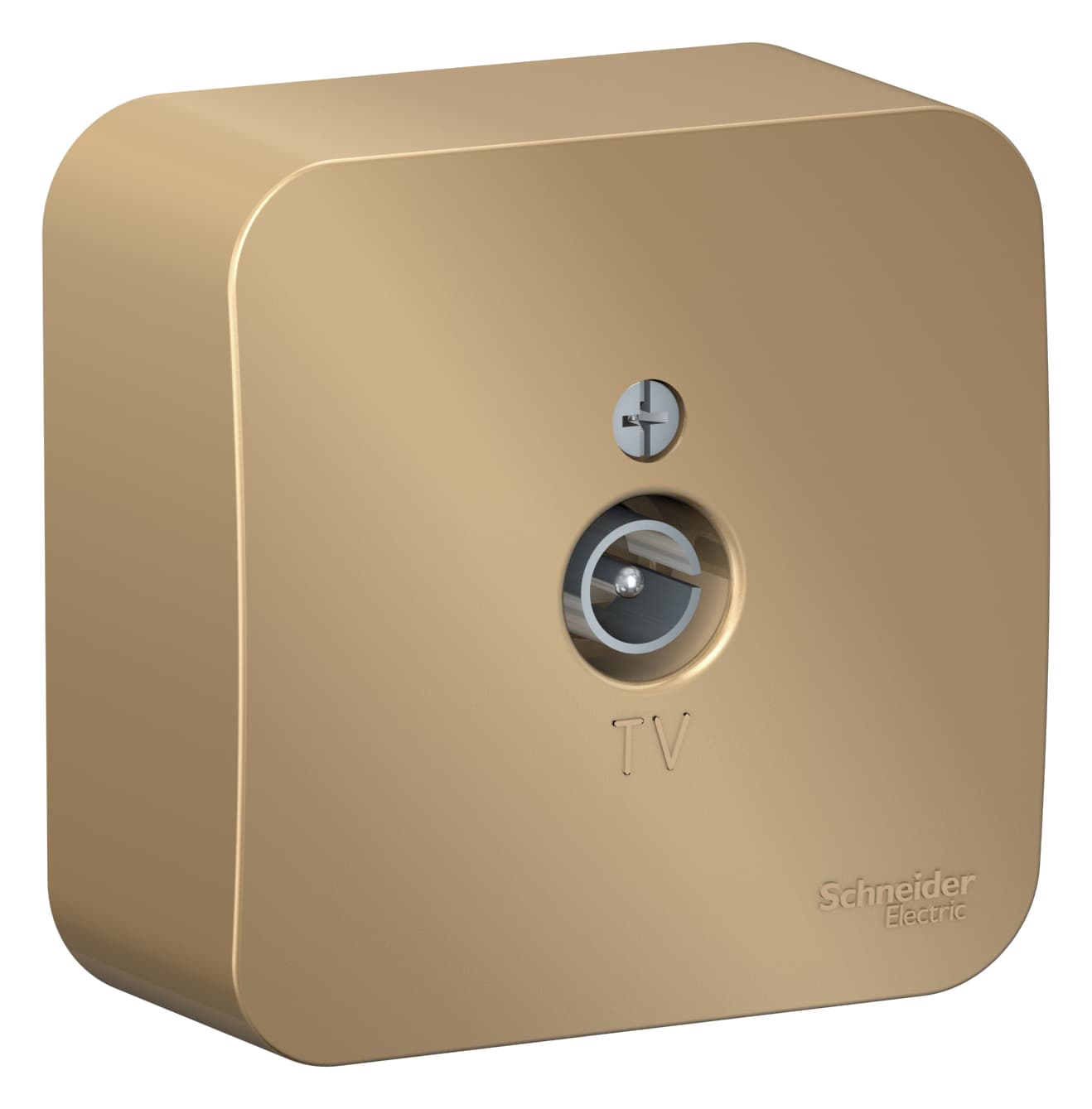 Розетка TV оконечная Systeme Electric Blanca BLNTA000014, цвет титан, для подключения антенны.