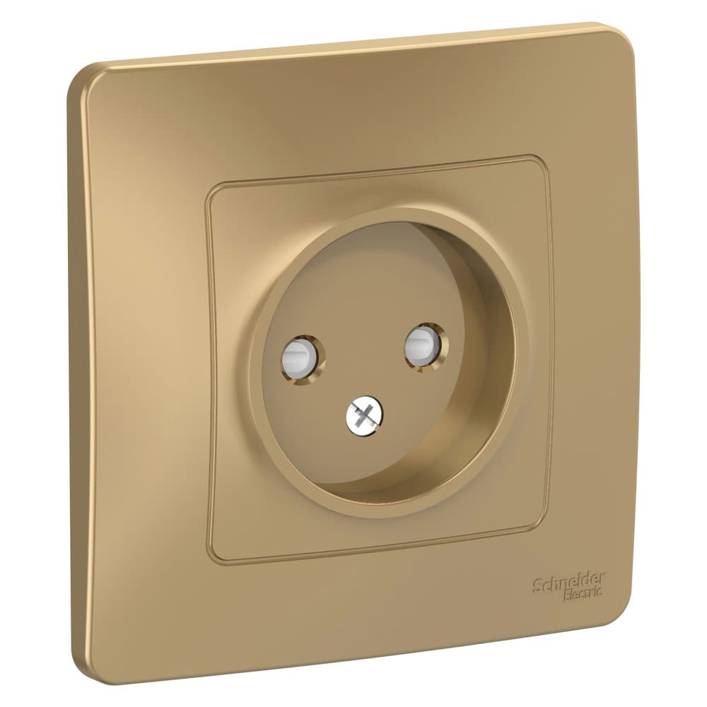 Розетка без заземления с защитными шторками Systeme Electric Blanca BLNRS000114, цвет титан, детская безопасность, для скрытого монтажа.