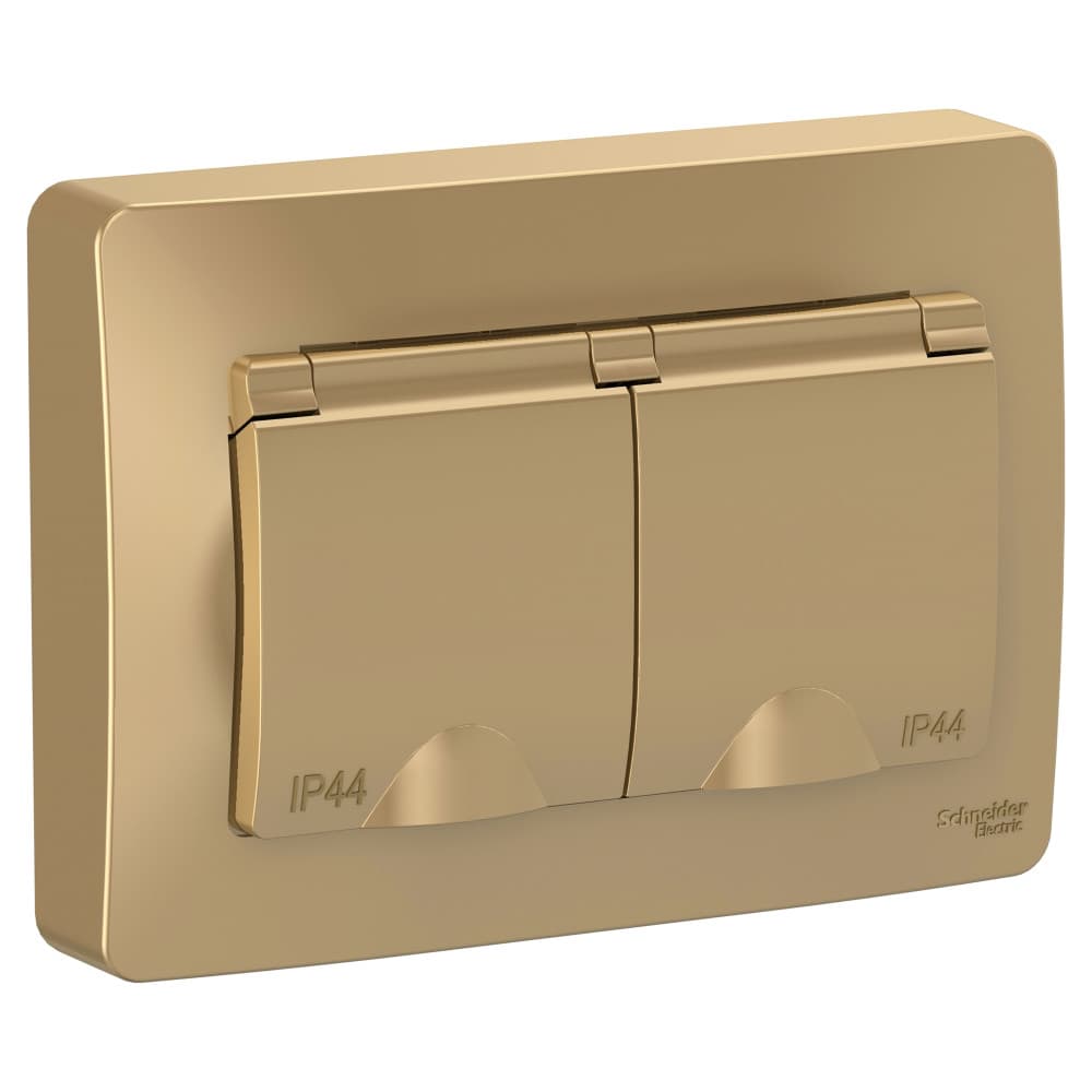 Розетка двойная с заземлением, защитными шторками и крышкой Systeme Electric Blanca BLNRS441124, цвет титан, влагозащищенная, для улицы или ванной.