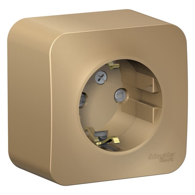 Розетка с заземлением и защитными шторками Systeme Electric Blanca BLNRA011114, цвет титан, защита от детей.