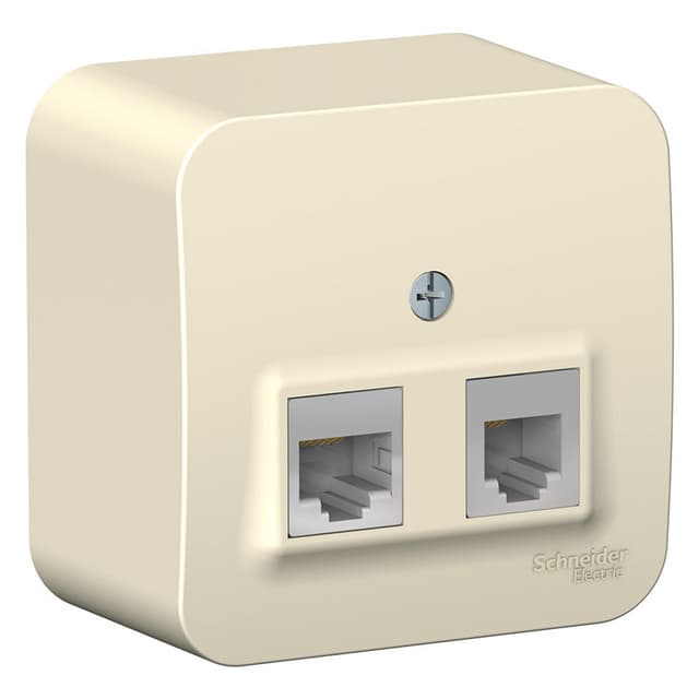 Розетка двойная комбинированная телефонная и компьютерная Systeme Electric Blanca BLNIA045112, цвет молочный, разъемы RJ11 и RJ45.