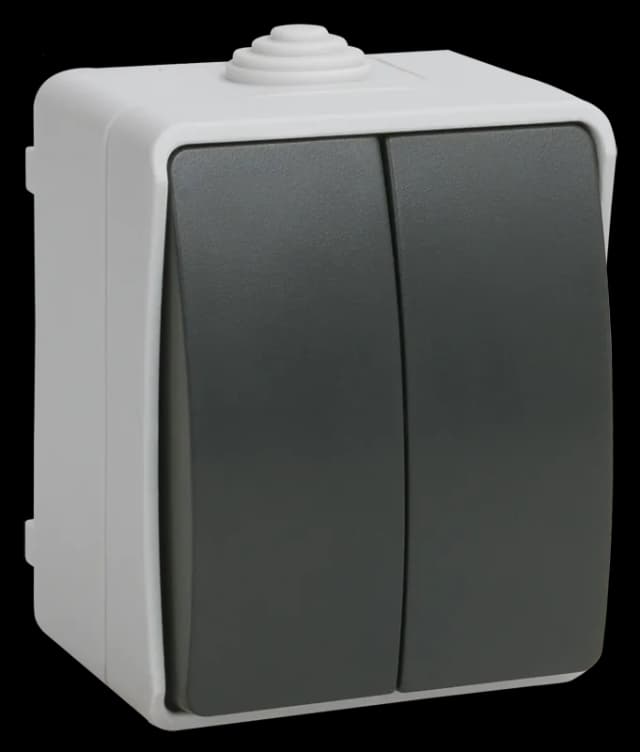 Выключатель 2-клавишный наружный IEK EVS20-K03-10-54-DC (серый)