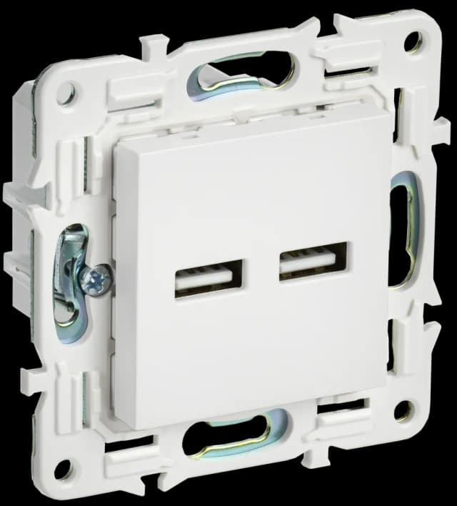 Розетка USB IEK SKANDY SK-U21-D31-K01 (белый арктический)