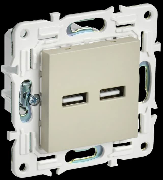 Розетка USB IEK SKANDY SK-U21-D31-K10 (бежевый)