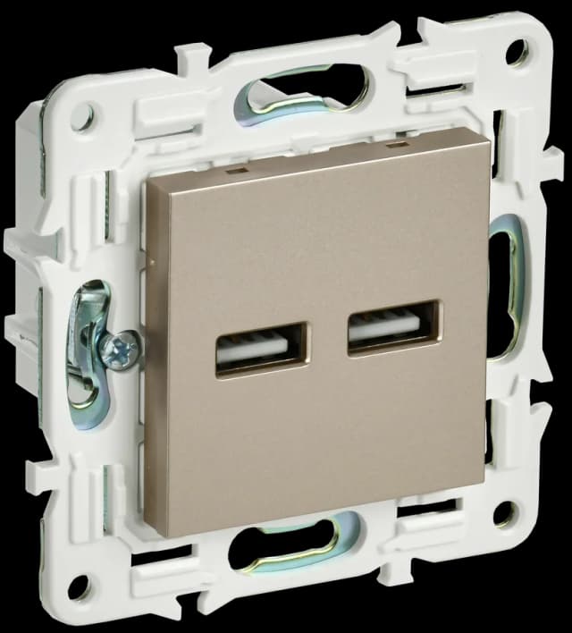 Розетка USB IEK SKANDY SK-U21-D31-K37 (шампань)
