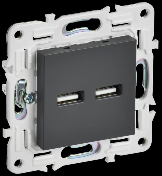 Розетка USB IEK SKANDY SK-U21-D31-K48 (титан)