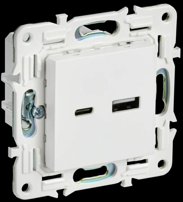 Розетка USB IEK SKANDY SK-U22-018-K01 (белый арктический)