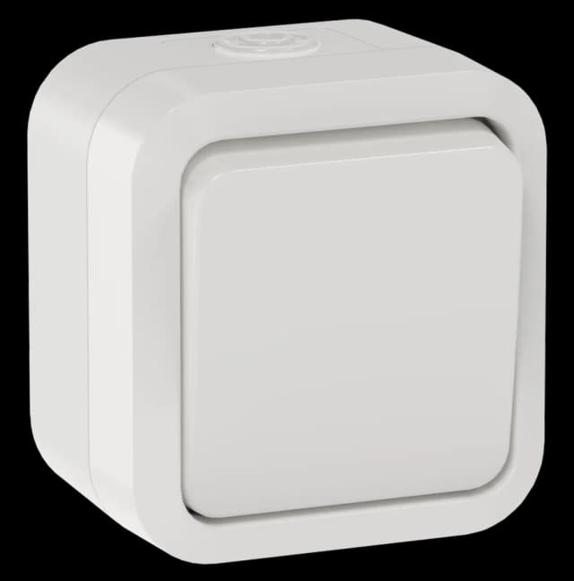 Выключатель 1-клавишный двухполюсный IEK TORS TS-V16-0-10-55-K01 (белый)